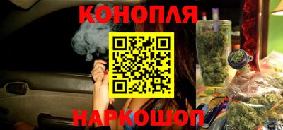 мдпв Татарск