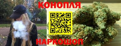 винт Тара