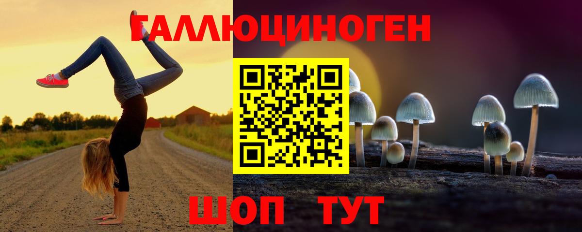 Псилоцибиновые грибы GOLDEN TEACHER  даркнет сайт  Артём  Вход с VPN 